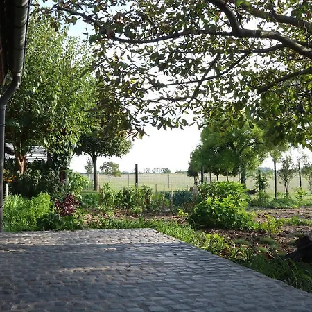 Gasthof Natuurcamp Tisza To *
