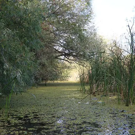 Natuurcamp Tisza To Gasthof *