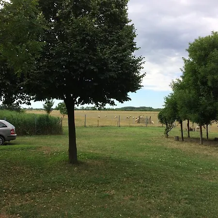 Natuurcamp Tisza To